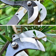 Garden Pruning Scissor Pick Tool