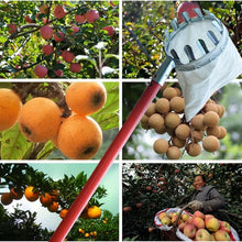 Garden Pruning Scissor Pick Tool